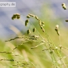 PC1_Bild154.jpg